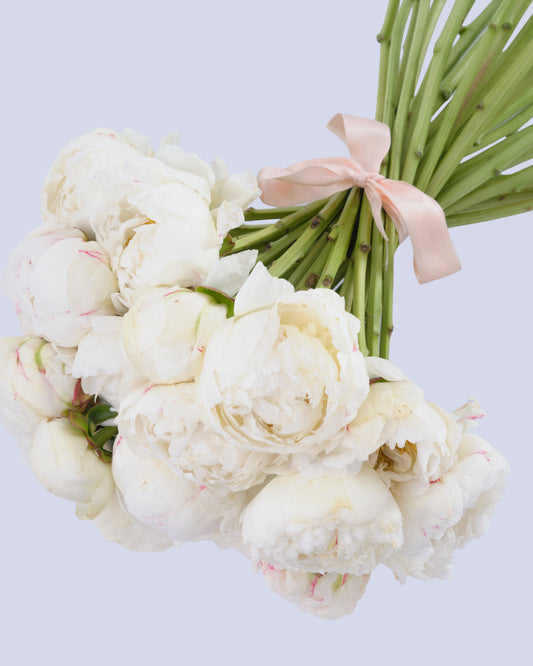 Bouquet di 25 Peonie Bianche