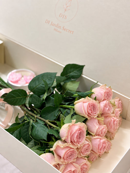 DI Jardin Secret Luxury Box – 15 Rose Rosa