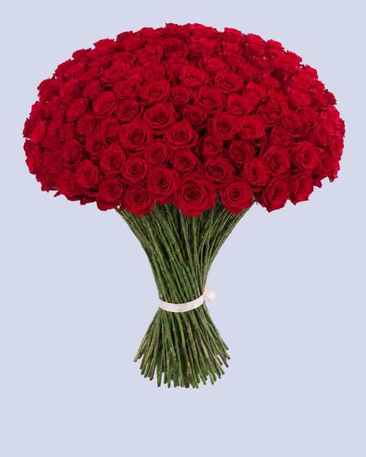 Bouquet di 101 Rose Rosse – 90 cm