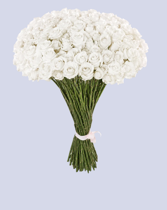 Bouquet di 101 Rose Bianche – 90 cm