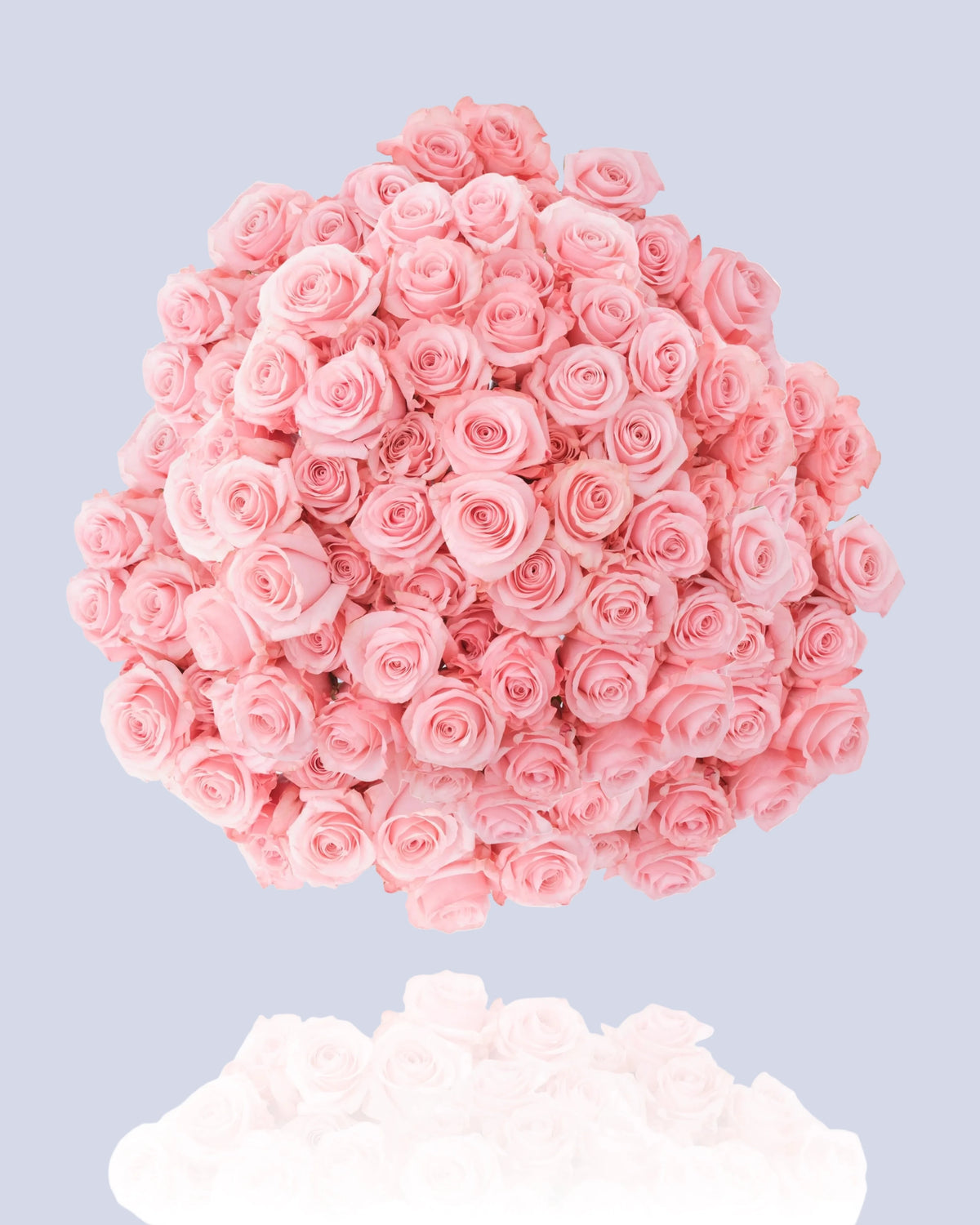 Bouquet di 101 Rose Rosa – 90 cm