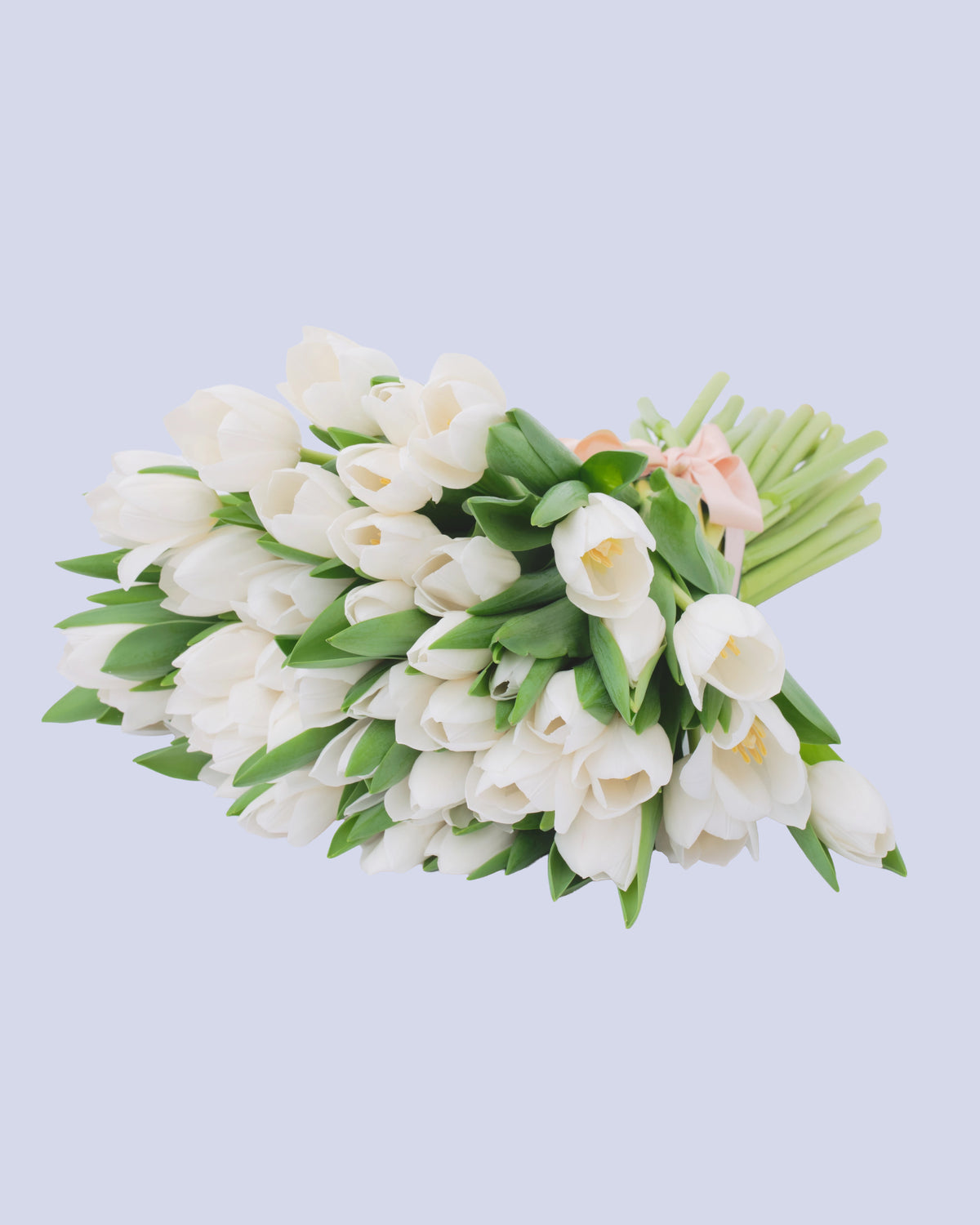 Bouquet di 25 Tulipani Bianchi